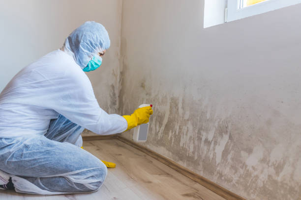 Hvac And Air Duct Mold Remediation inspection of HVAC system in Penfield