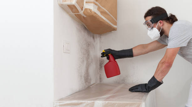 Attic Mold Remediation treatment on roof deck in Penfield